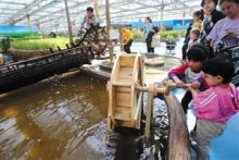 图为，孩子们在“水稻梦园”展区体验用水车灌溉水稻的过程。