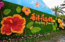 中新网，香港花卉展立体花卉墙