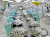 今年6月，越南对中国的虾出口下降了近5%。