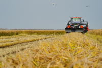 无人机的农业机器遵循设定路径并自动驱动完成操作
